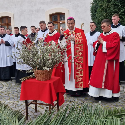 Procesiune Religioasă la Catedrala din Alba Iulia cu ocazia Floriilor Catolice: Credincioșii au adus ramuri de salcie pentru sființirea de către soborul de preoți