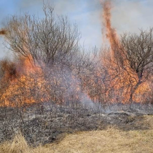 Vegetație uscată în flăcări la Livezile: Pompierii intervin cu autospeciala pentru stingerea incendiului