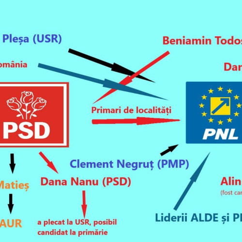 Alba, județul traseiștilor politici: Partidele mici, decapitate în cel mai important an electoral