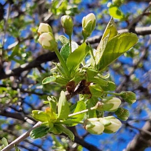 Cea mai caldă lună martie din istoria măsurătorilor. Recorduri de temperaturi atipice în ultimele 10 luni. Ce spun meteorologii