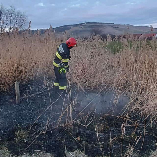 Vegetație uscată în flăcări pe o stradă din Alba Iulia: Pompierii intervin cu o autospecială