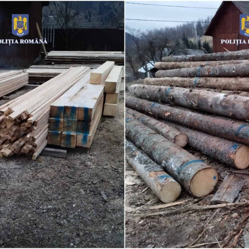 Polițiștii din Alba au confiscat peste 500 mc material lemnos și au aplicat amenzi în valoare de 50.000 lei