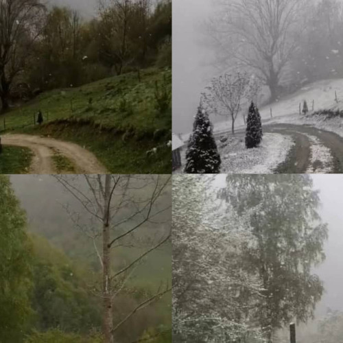 Ninsorile surprindătoare în Apuseni: Imagini video cu strat de zăpadă în doar câteva minute la Scărița-Belioara