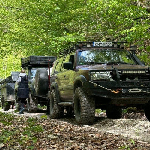 Șoferi amendați de rangerii Parcului Apuseni pentru încălcarea legislației în zonele protejate. Amenzi totale de 50.000 de lei.