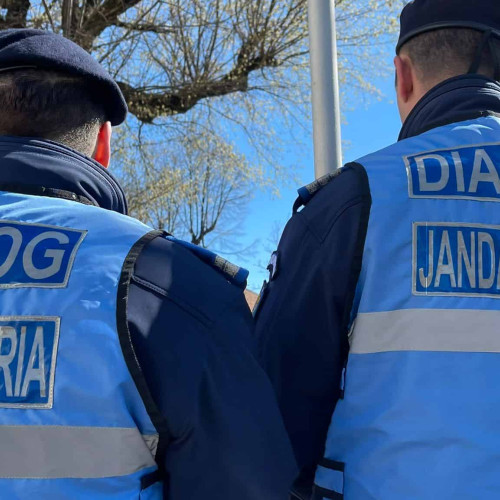 Limita de depunere pentru dosarele scolilor de subofiteri de politie si pompieri a fost extinsa. Noul termen limita este pe 17 mai 2024. Anuntul a fost facut de Jandarmerie si Pompieri. Conditii de recrutare: cetatenie romana, domiciliu in Romania, cunoasterea limbii romane, varsta de minimum 18 ani, absolvirea liceului cu diploma de bacalaureat, comportament corespunzator, fara antecedente penale, aptitudine medicala si psihologica. Candidatii trebuie sa fie sub 27 de ani si sa fi obtinut media de 9 la purtare in timpul liceului.