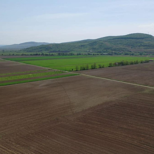 7 iunie, termen limită pentru depunerea de către fermieri a cererii de plată în Campania 2024. Precizările APIA