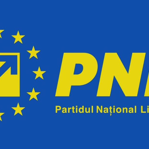 PNL Alba Răspunde la Contestația PSD legată de Videoclipul de Campanie al lui Ion Dumitrel