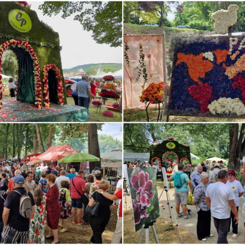 Festivalul &quot;Ziua Rozelor&quot; 2024 la Aiud: O sărbătoare a frumuseții și parfumului trandafirilor